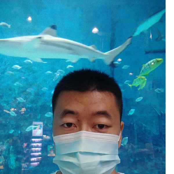 河北34岁单身帅哥真诚找对象-阜阳残疾人征婚